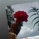 Alison Carreno - Facebook