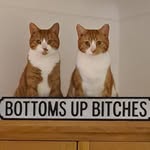 Alison Carruthers - @carruthers.alison - Instagram