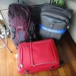 Alison Chang - @chang.alison - Instagram