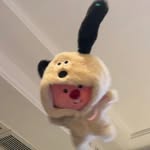𝐴𝑙𝑖𝑠𝑜𝑛 - @alisonchou.1129 - Instagram