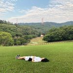 Alison Chou - @asy8585 - Instagram
