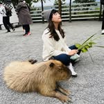Allison Chou - @allisonchou5565 - Instagram