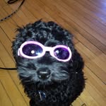 Alison Christopher - @alipali2572 - Instagram