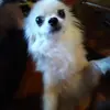 Alison Christopher - @alison.christophe0 - TikTok