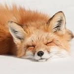 Alison Chuang - @wanching.1023 - Instagram