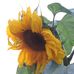 Alison Clement - Facebook