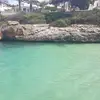 Alison Connor - @alison.connor43 - TikTok