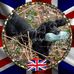 Alison Cook - Facebook