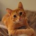 Alison Cook - Facebook