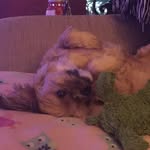 Allison Crouse - @appgirlie - Instagram