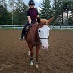 Alison Daigle - @ali6daigle - Instagram