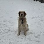 Alison - @alisondaugherty62020 - Instagram
