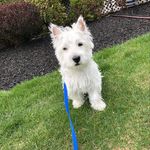 Alison Daugherty - @alisongdaugherty - Instagram