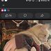 Alison Derry - Facebook