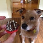 Alison Derry - @alderry - Instagram