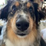 Alison Fisher Doherty - @the_remdog - Instagram