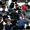 Alison Dominguez - @alison.dominguez172 - TikTok