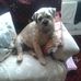 Alison Donovan - Facebook