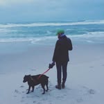 Alison Donovan Counihan - @alisondonovan14 - Instagram
