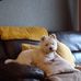 Alison Eadie - Facebook