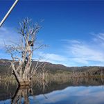 Alison Englefield - @alison.englefield - Instagram