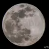 Allison Ervin - @im._.bored765 - TikTok