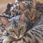 Alison Farrell - @farrell4986 - Instagram