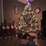 Alison Paul - @alison.farrell.758 - Instagram