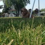 Alison Fehr - @fehr_alison - Instagram