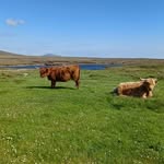 Alison Fell - @fell9866 - Instagram