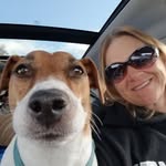 Alison Fellows - @fellowsalison - Instagram