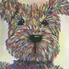 alisonfenwick60 - @tixybell - TikTok