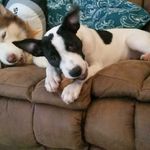 allison ferrell - @jerseyshorecouponninja007 - Instagram