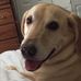 Allison Fields - Facebook