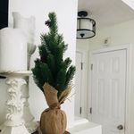 Alison | One Fine Fern - @onefinefern - Instagram