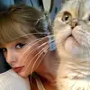 alison.finlay06 - @alison.finlay06 - TikTok