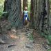 Alison W Fleck - Facebook