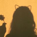 allison fleck - @allison_fleck8 - Instagram