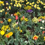 Allison Fleury - @insideoutlandscape - Instagram