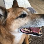 Alison Flint - @amflint7 - Instagram