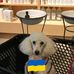 Alison Flynn - Facebook