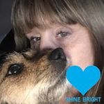 Alison Foley - @alisonfoley71 - Instagram