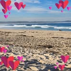 Alison Forde - Facebook