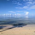 Alison Forde - @sovereign_power_retreats - Instagram