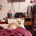 Alison Foley - Facebook