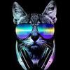 alisoncastro4340 - @alisonfortes - TikTok