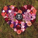 Alison Frame NYR Organic Independent Consultant - Facebook