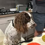 @alison_franks_72 - Instagram