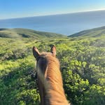 Alison Friedman - @peace_love_ponies_ - Instagram