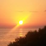 Alison Galbraith - @alison.galbraith.921 - Instagram